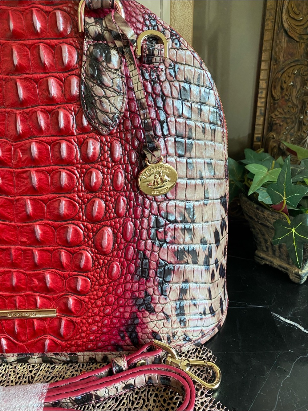 ♥️🐾Brahmin RUBY PROWL OMBRE Dome Satchel - Picture 3 of 14
